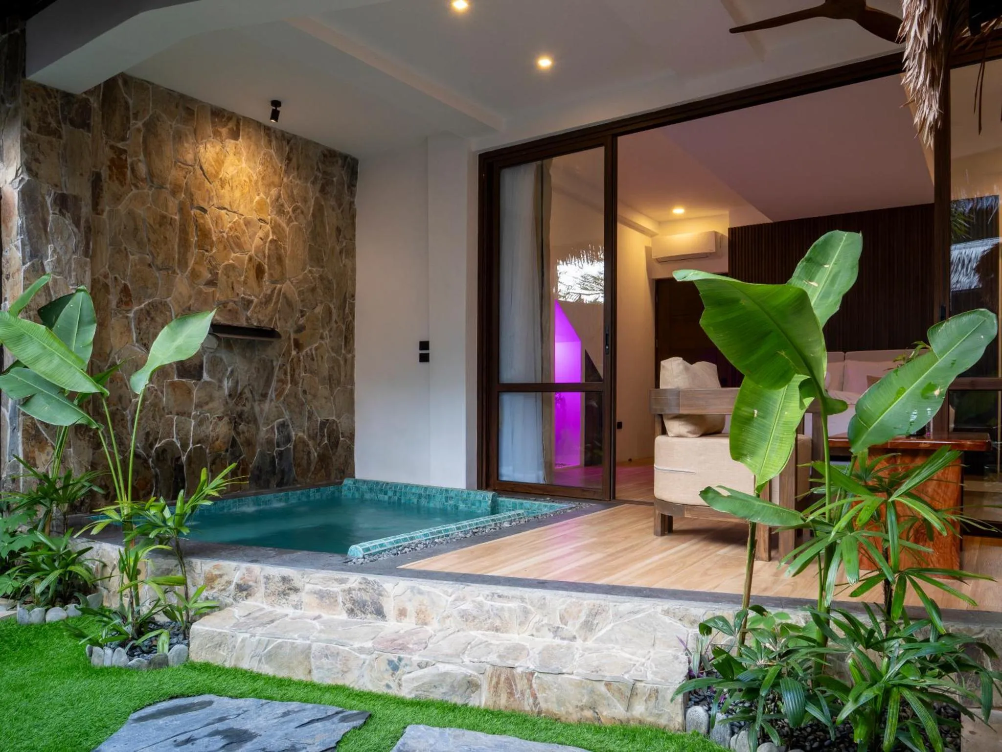 Espace extérieur avec petite piscine et végétation tropicale.