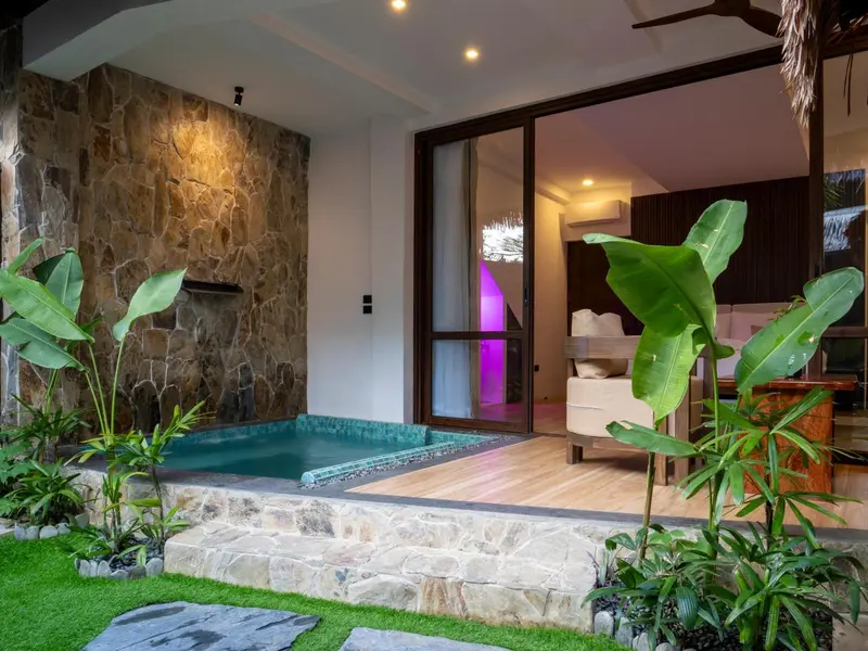 Espace extérieur avec petite piscine et végétation tropicale.