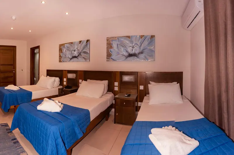 Une chambre avec trois lits simples et des tableaux décoratifs.