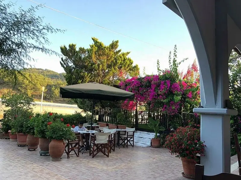 Terrasse fleurie avec tables et chaises en pierre.