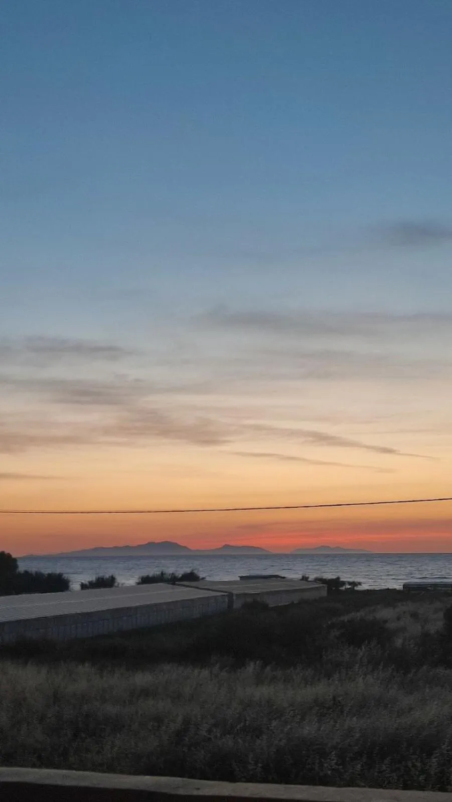 Coucher de soleil sur l'horizon avec une vue sur la mer et la végétation au premier plan.