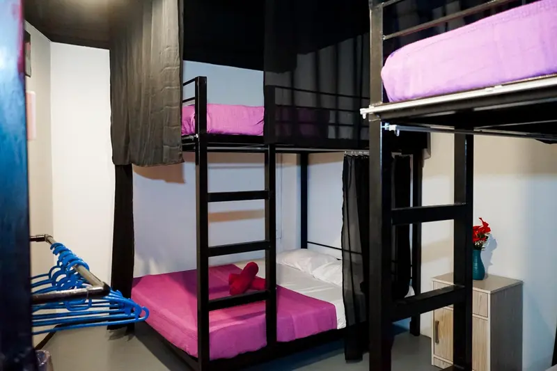 Lits superposés dans un dortoir aux couleurs vives.