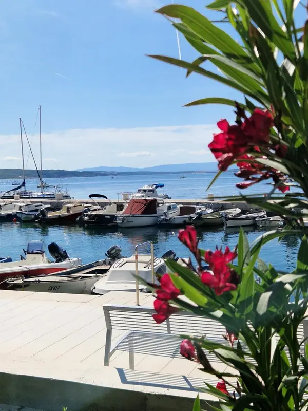 Vue sur un port de plaisance ensoleillé avec des bateaux amarrés et des fleurs au premier plan.