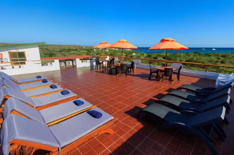 Terrasse avec transats et parasols face à la mer.