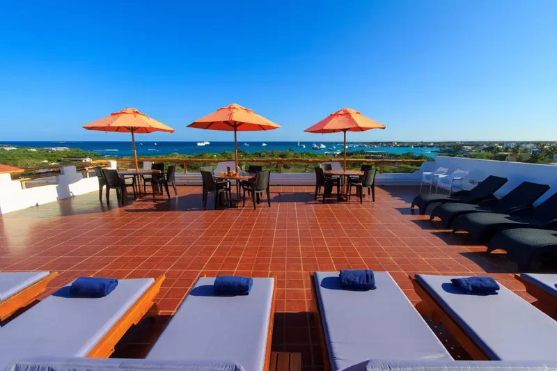 Terrasse aménagée avec transats et parasols, vue sur la mer et le paysage.