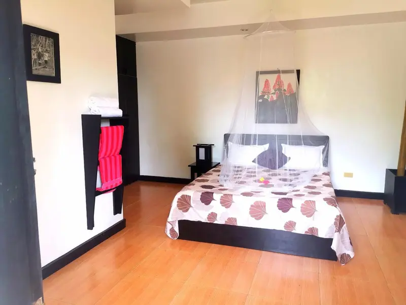 Une chambre lumineuse avec un grand lit recouvert d'une moustiquaire.