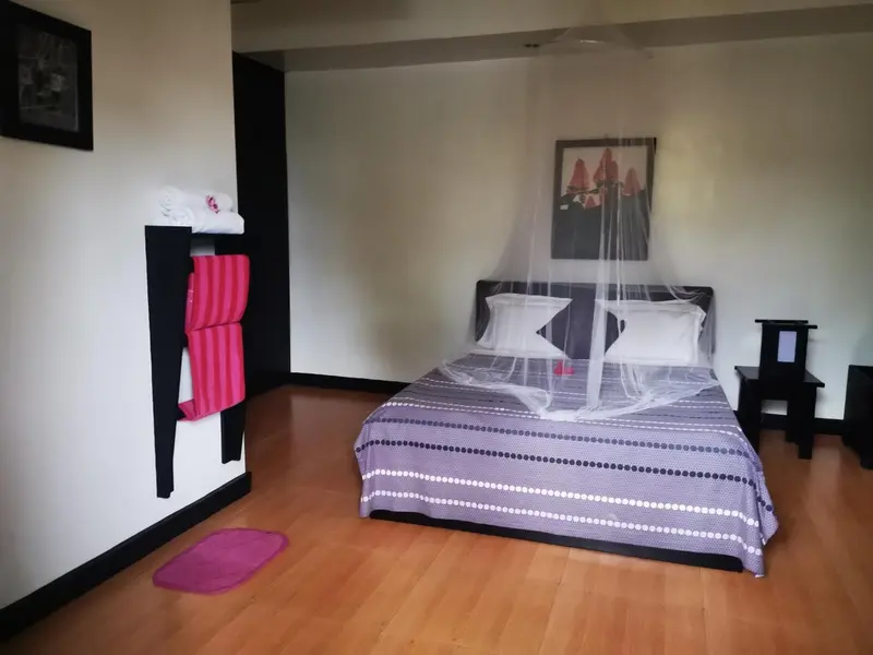 Une chambre lumineuse avec un grand lit recouvert d'une moustiquaire.