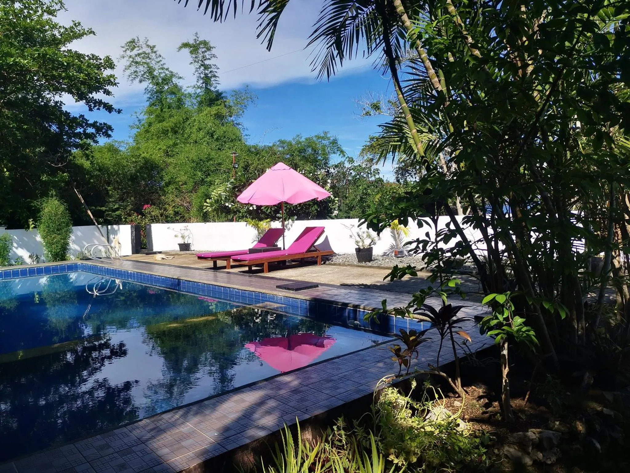 Une piscine rectangulaire bordée d'une terrasse ensoleillée avec des transats roses.