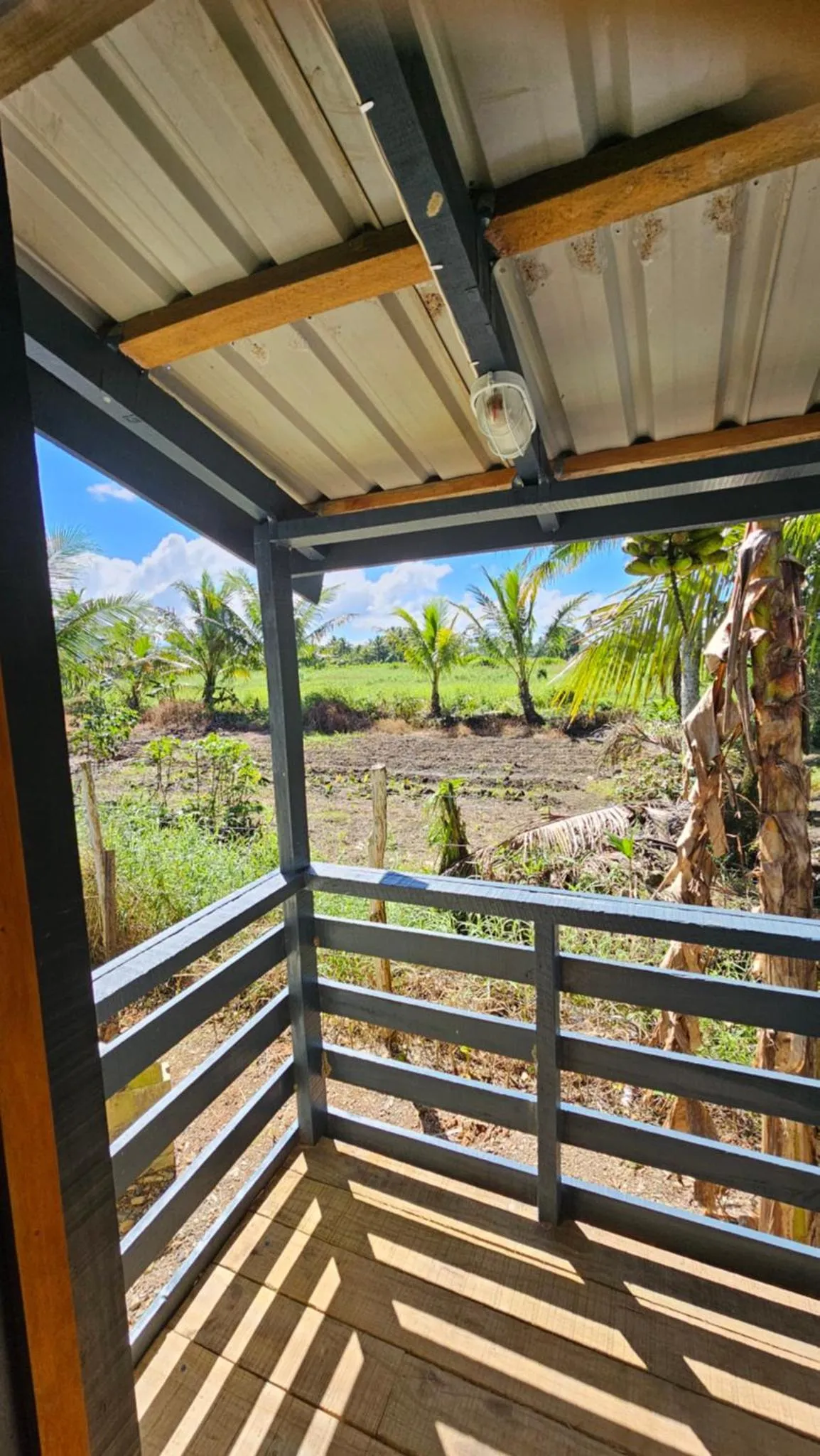 Vue sur une végétation luxuriante depuis une terrasse ombragée.