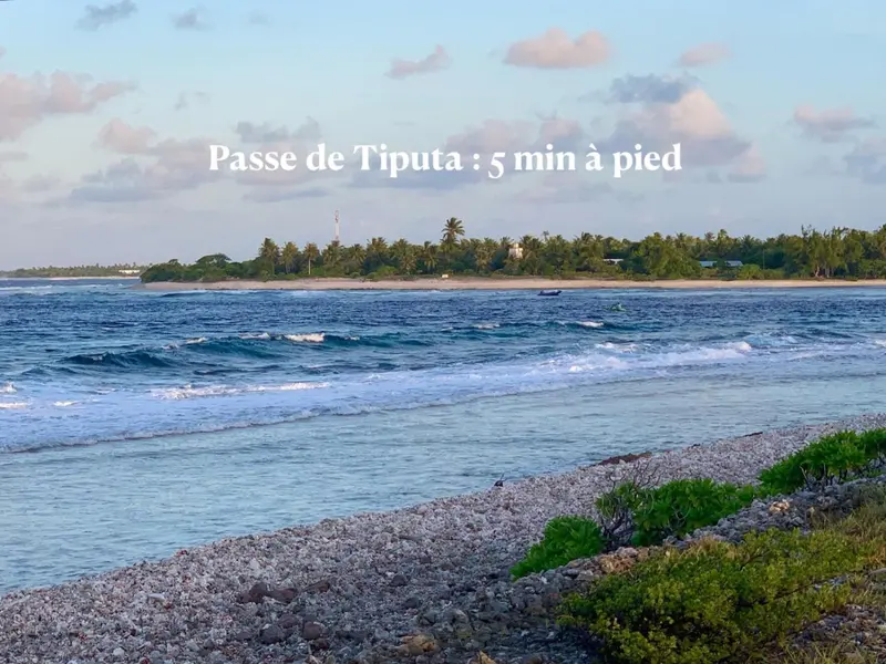 Plage de galets avec vagues et végétation tropicale en arrière-plan.
