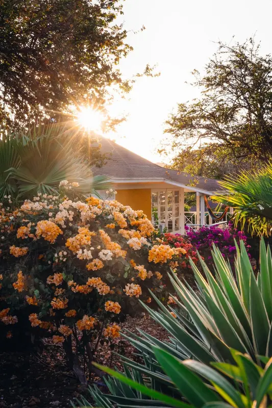 Un bâtiment jaune est entouré d'une végétation luxuriante et de fleurs colorées au coucher du soleil.