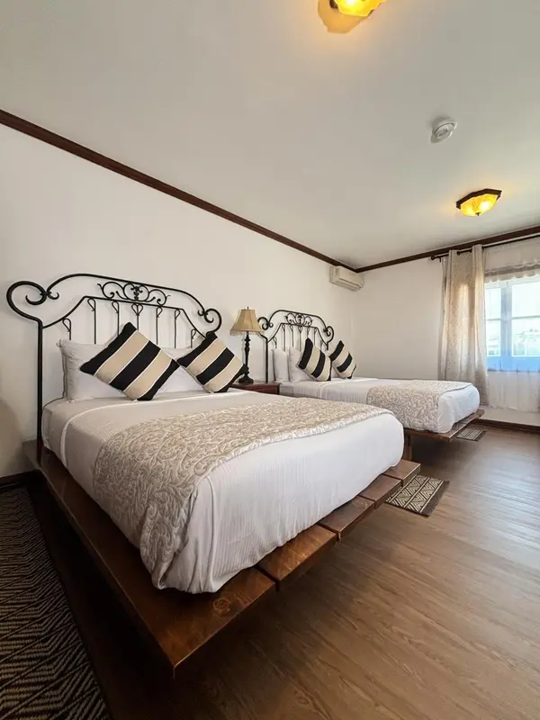 Deux lits simples avec une couette blanche et des oreillers dans une chambre lumineuse.