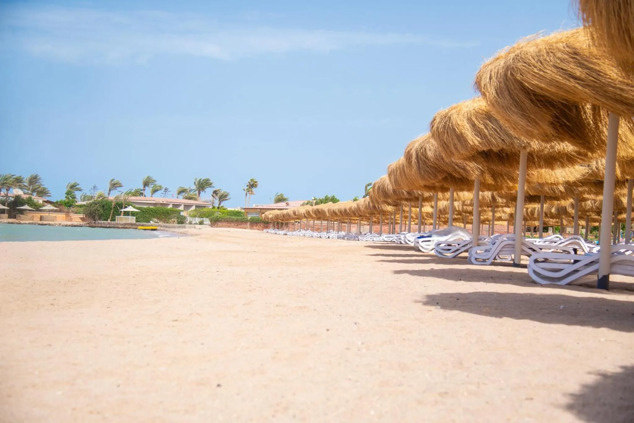 Transats alignés sous des parasols de chaume sur une plage de sable fin.