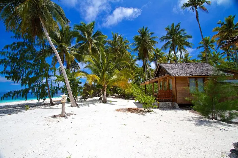 Cabane en bois sur une plage de sable blanc bordée de palmiers.