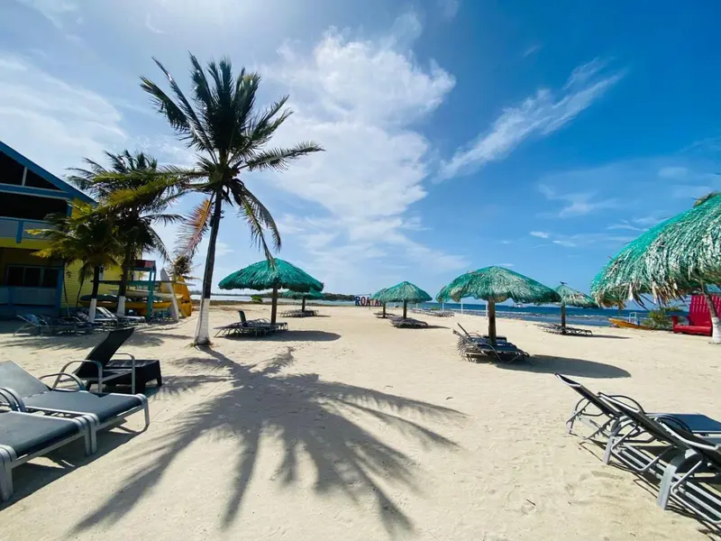 Transats alignés sur une plage de sable blanc bordée de palmiers et de parasols.