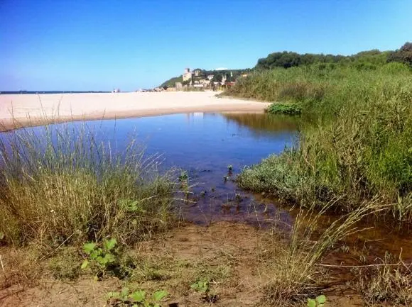 Une plage de sable fin borde une eau turquoise sous un ciel bleu.