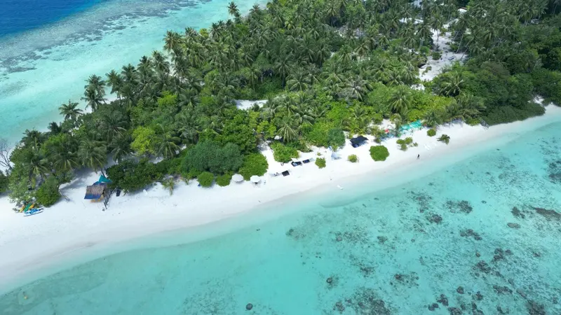 Vue aérienne d'une île tropicale bordée d'une plage de sable blanc et d'une végétation luxuriante.