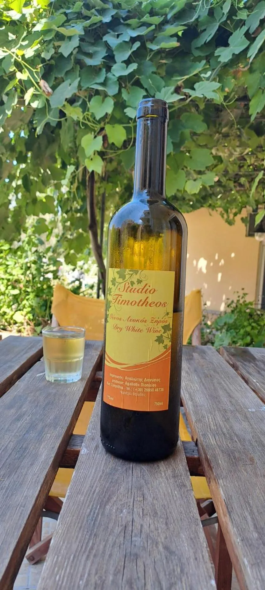 Une bouteille de vin et un verre sur une table en bois, devant un mur végétal.