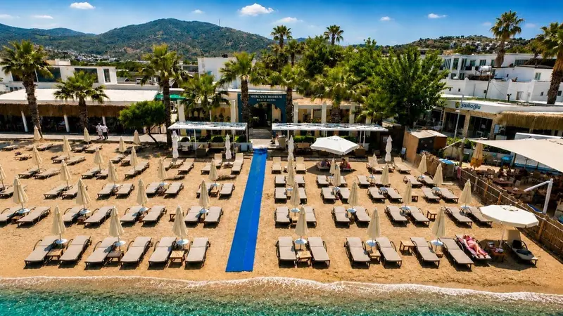 Vue aérienne d'une plage avec des transats alignés et des parasols.