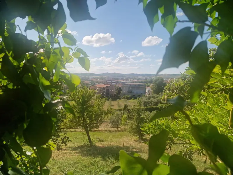 Vue d'ensemble sur une ville et la campagne environnante, encadrée par des feuilles vertes.