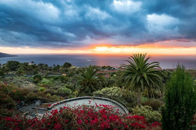 Un paysage côtier avec une végétation luxuriante au premier plan et un coucher de soleil sur la mer.