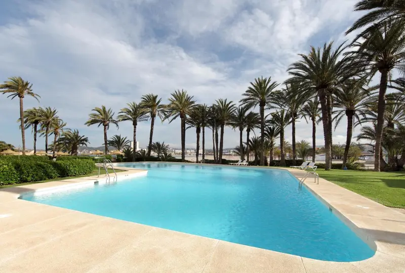 Une piscine rectangulaire bordée d'une terrasse ensoleillée, avec des palmiers en arrière-plan.