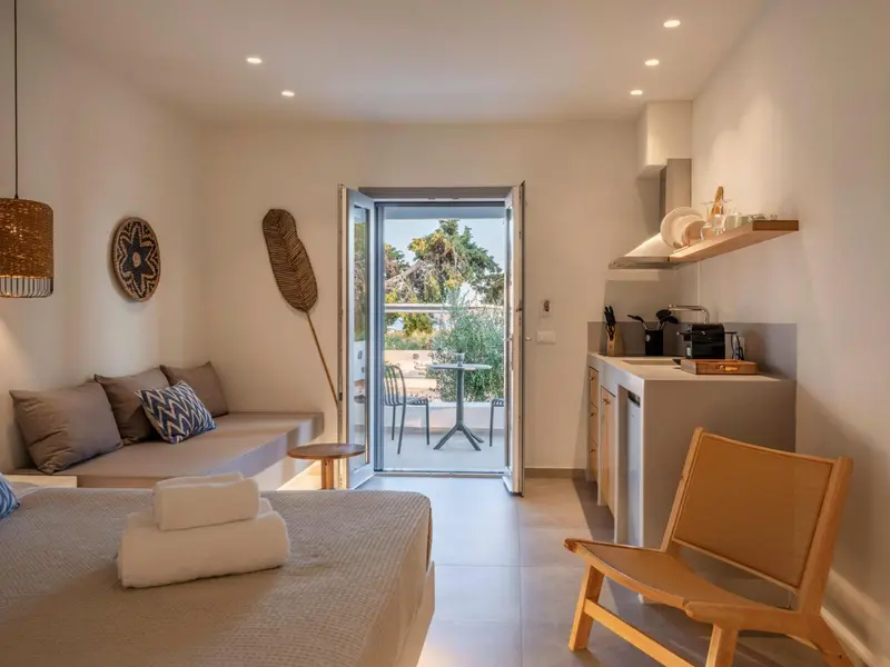 Espace de vie lumineux avec coin cuisine et accès à une terrasse.