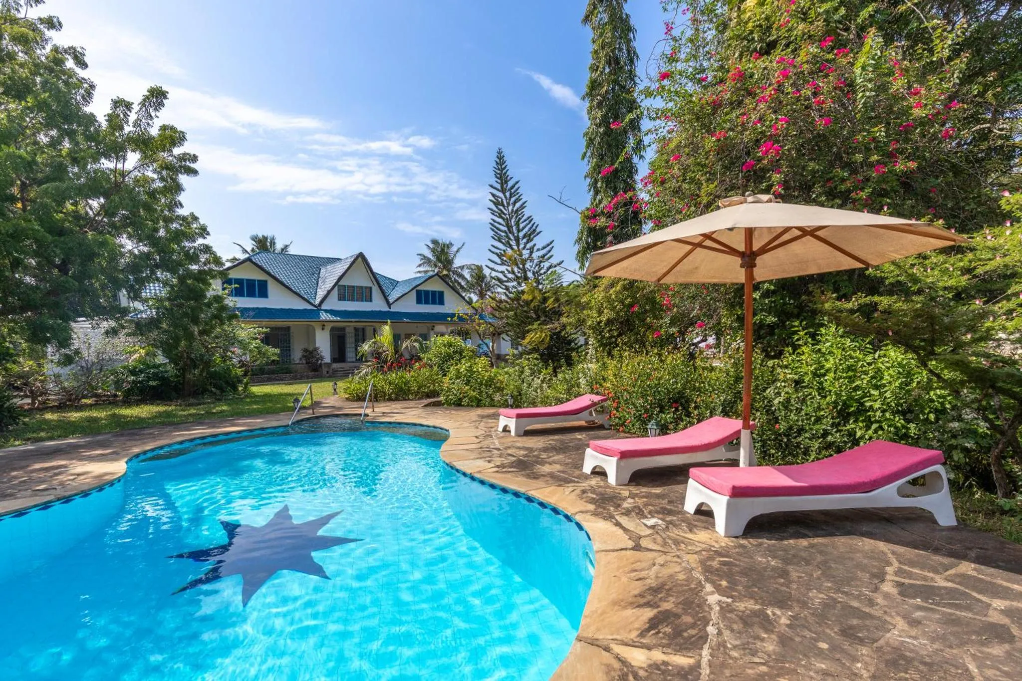 Piscine rectangulaire avec étoile au fond, transats roses et végétation luxuriante.