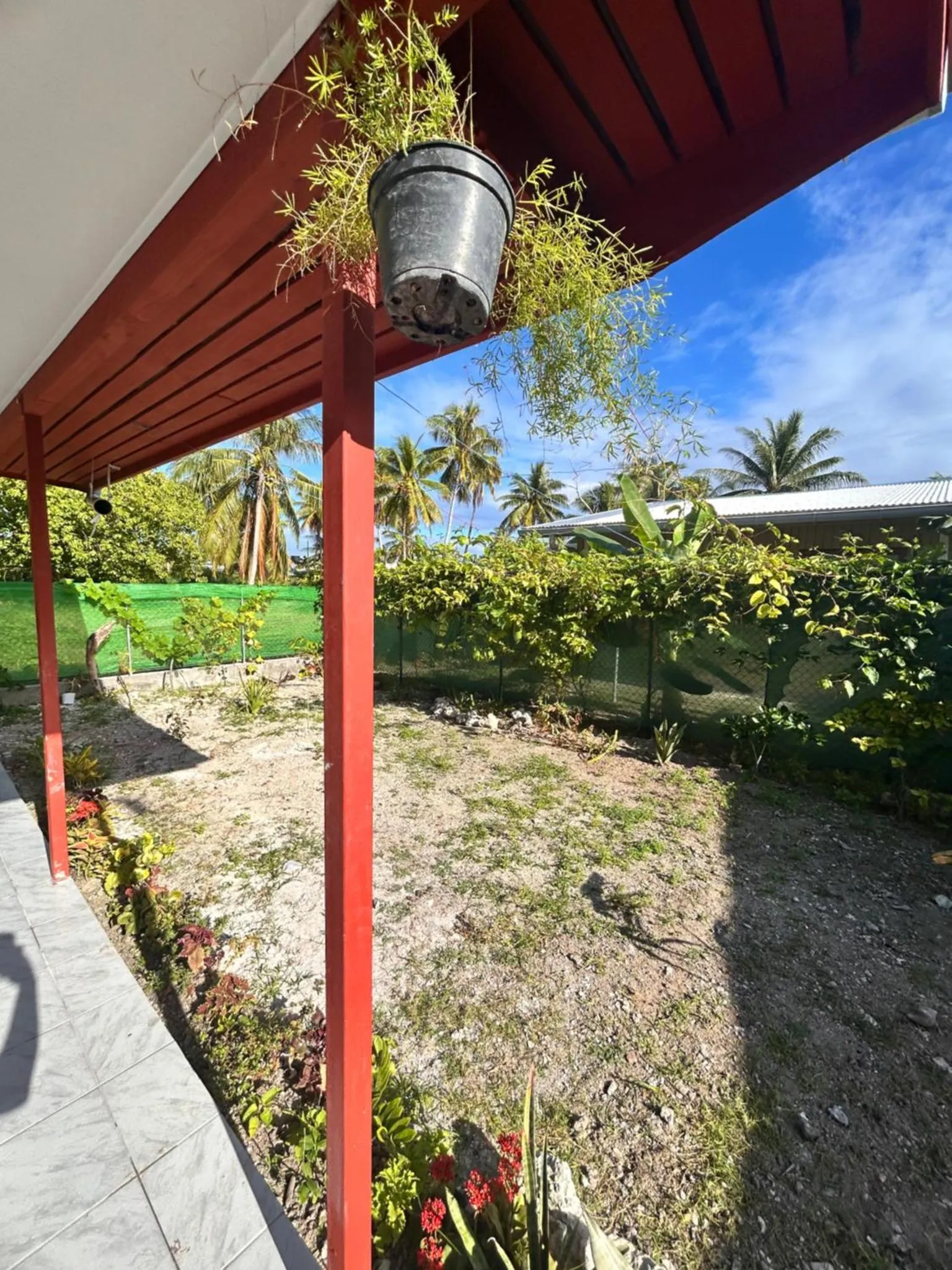 Terrasse ombragée avec végétation luxuriante et vue sur un jardin tropical.