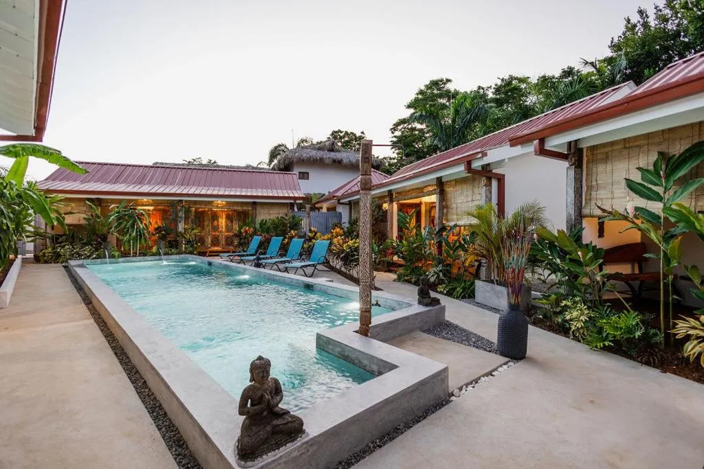 Une piscine rectangulaire bordée de transats et de végétation tropicale.