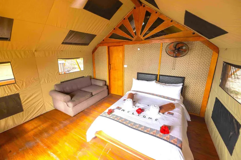 Une chambre avec un lit recouvert de pétales de fleurs et un canapé.
