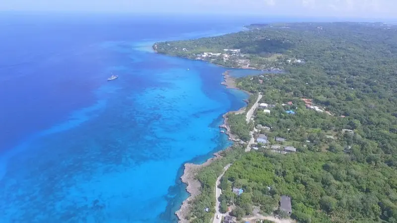 Vue aérienne d'une côte rocheuse bordée d'une végétation luxuriante et d'une mer turquoise.