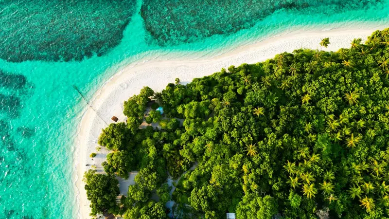 Vue aérienne d'une plage de sable blanc bordée d'une eau turquoise et d'une végétation luxuriante.
