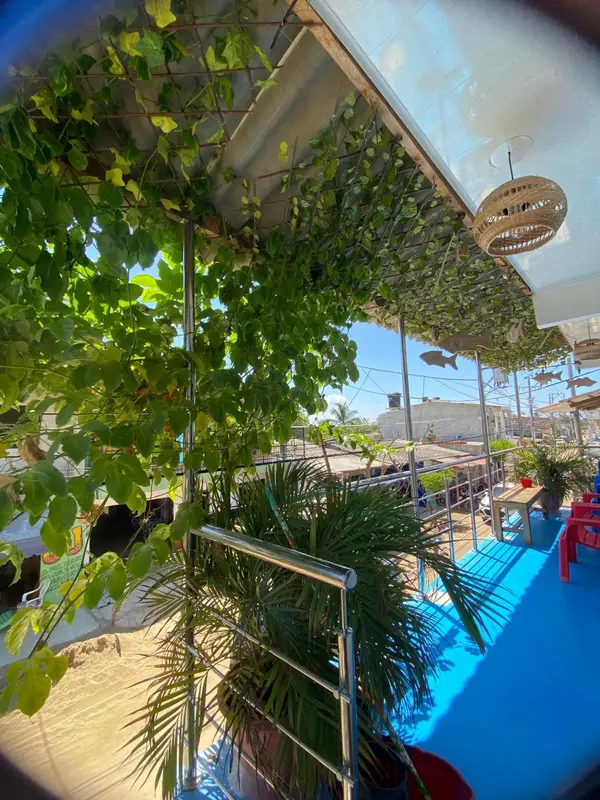Terrasse ombragée avec végétation luxuriante et mobilier d'extérieur.