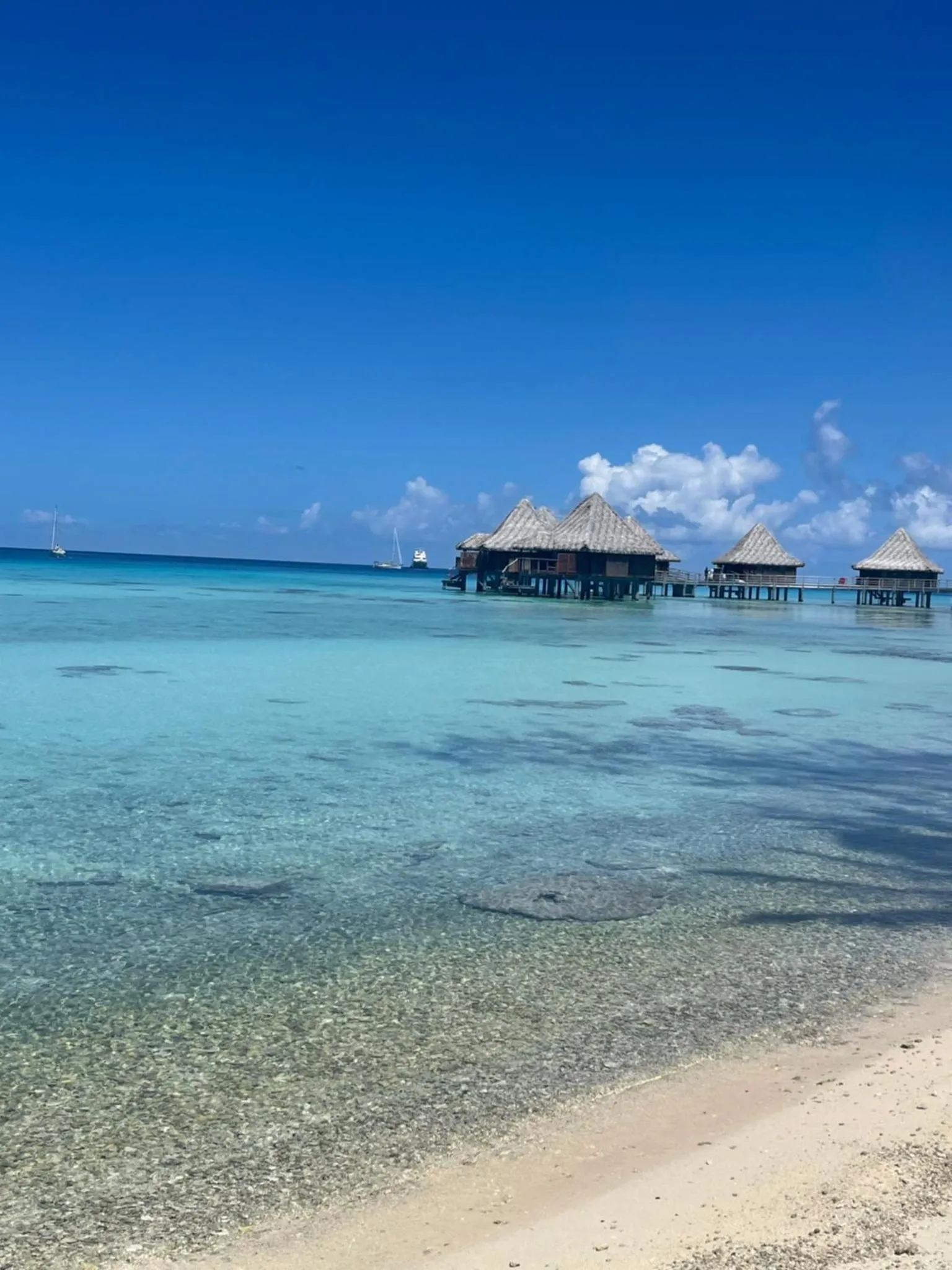 Cabanes sur pilotis au-dessus d'une eau turquoise et d'un fond sableux.