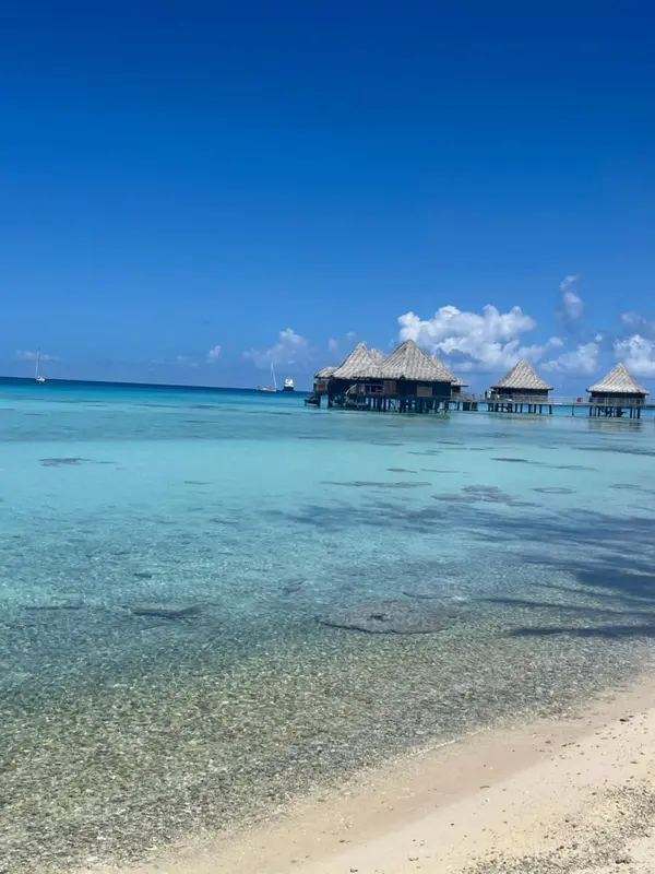 Cabanes sur pilotis au-dessus d'une eau turquoise et d'un fond sableux.