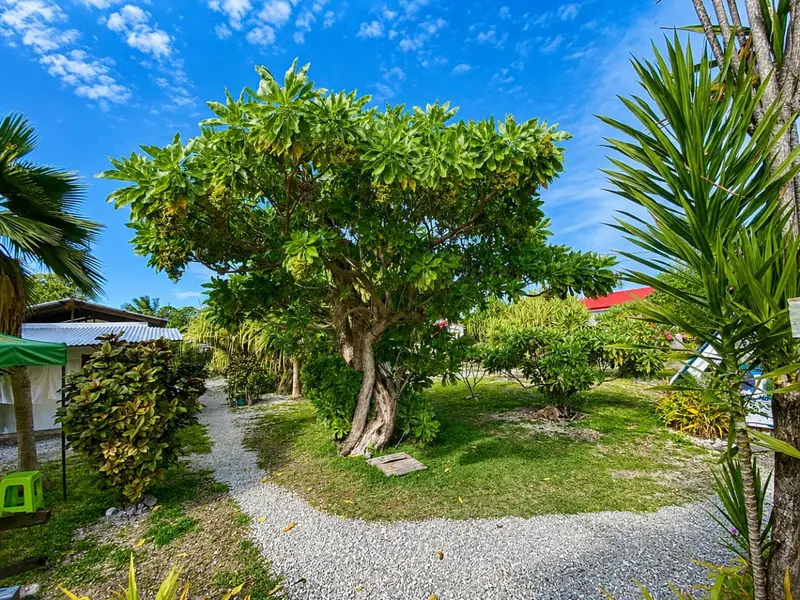 Un jardin verdoyant avec un chemin de gravier et des bâtiments en arrière-plan.