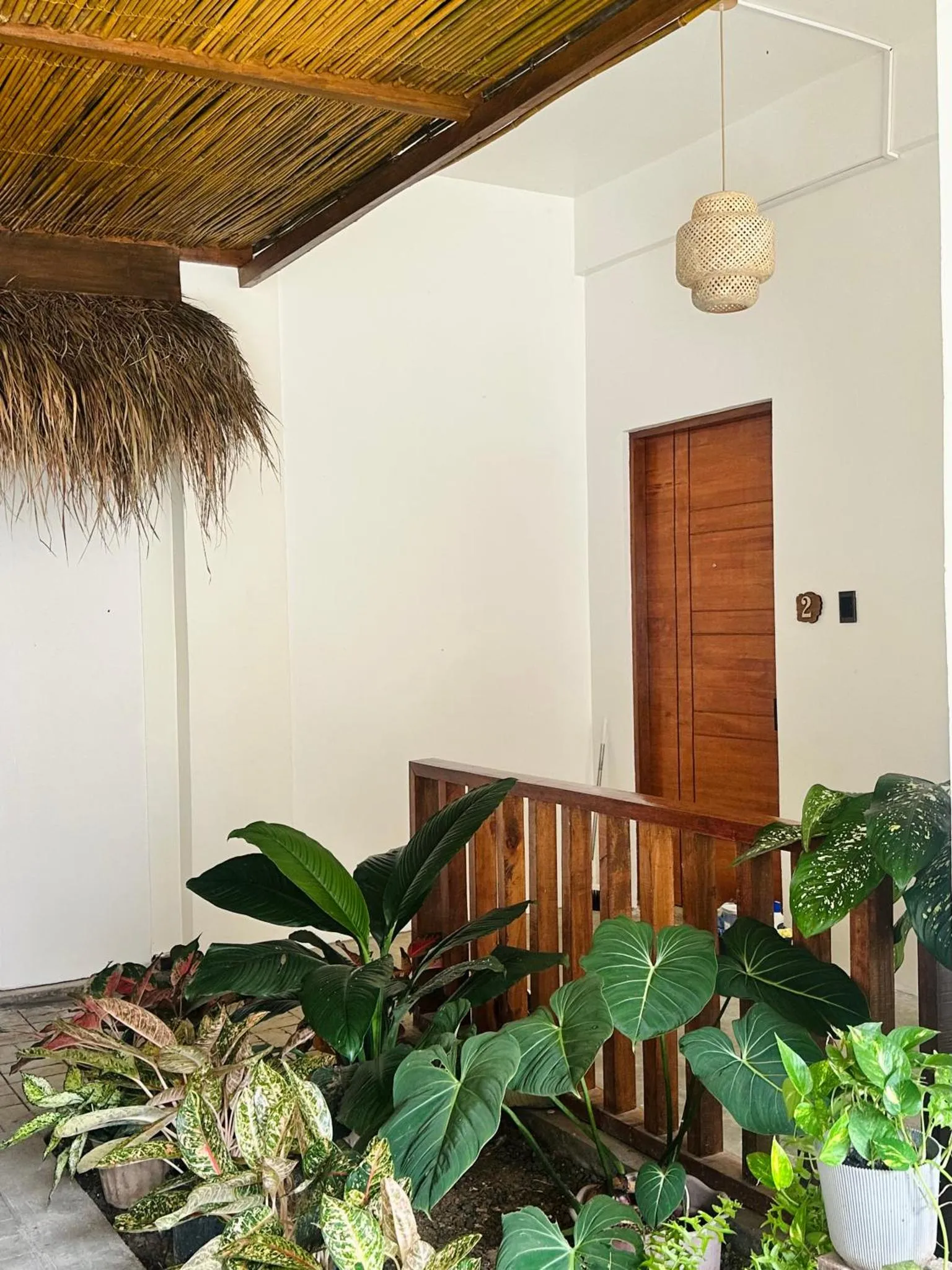 Une terrasse ombragée avec des plantes tropicales devant une porte en bois.