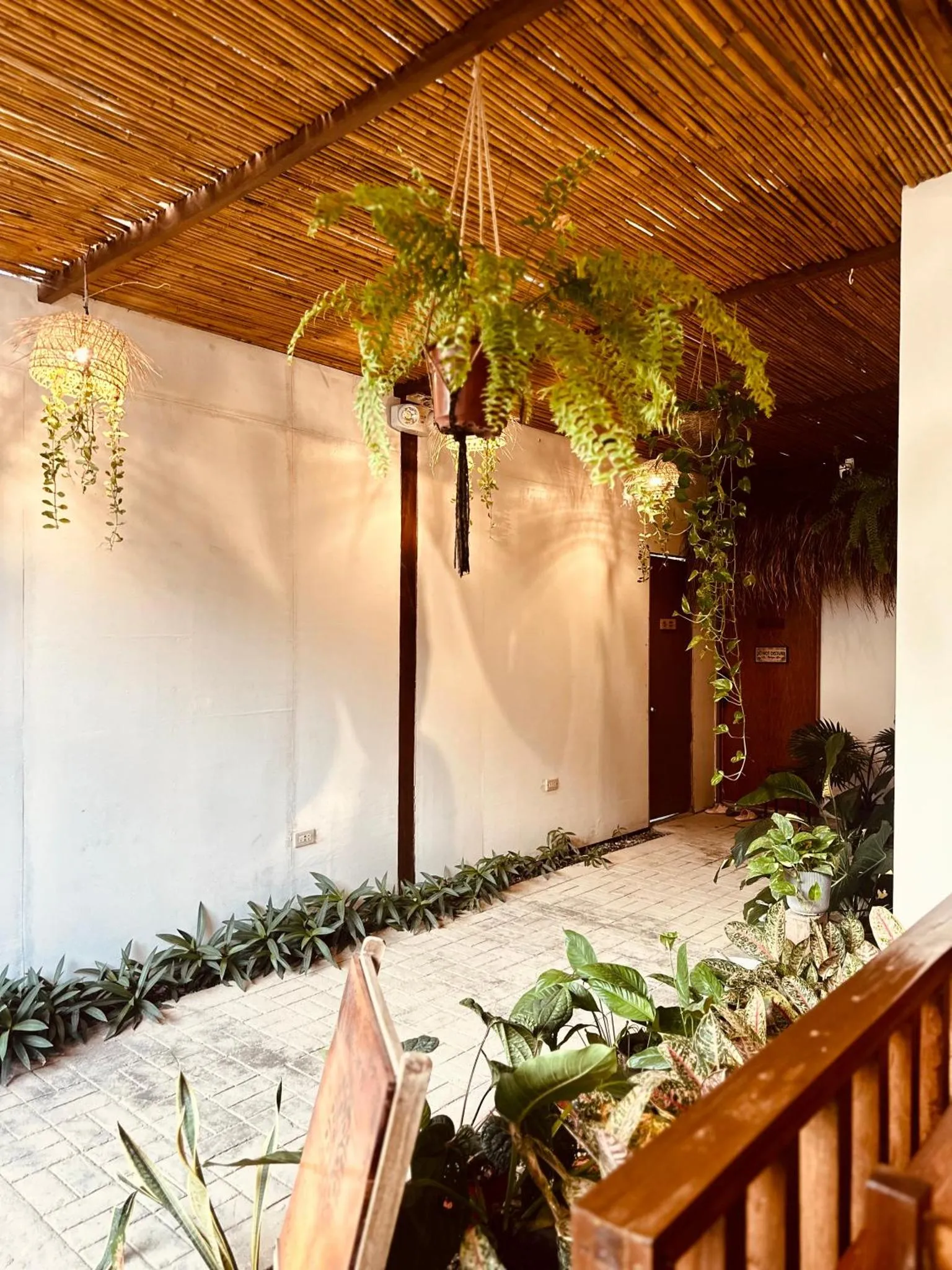 Un espace extérieur ombragé avec des plantes suspendues et des murs clairs.