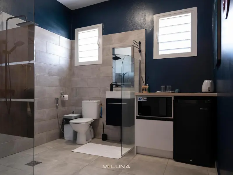 Une salle de bain moderne avec douche à l'italienne et kitchenette.