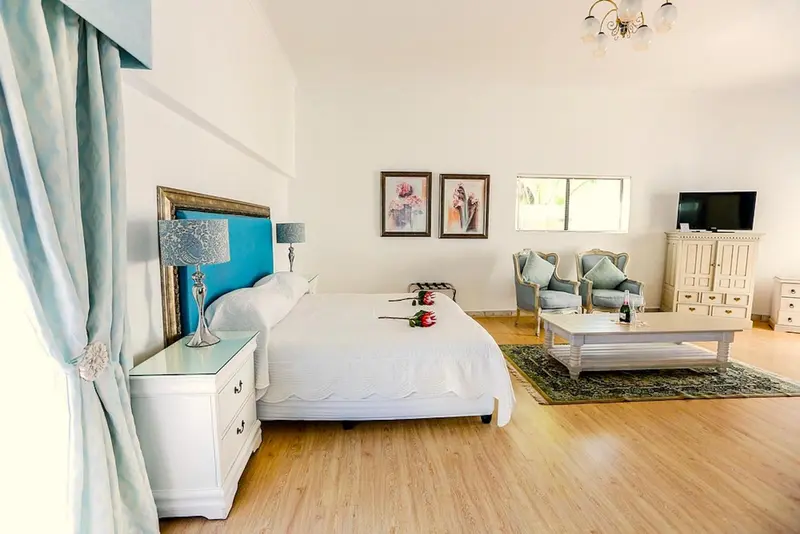 Une chambre lumineuse avec un grand lit et un coin salon.