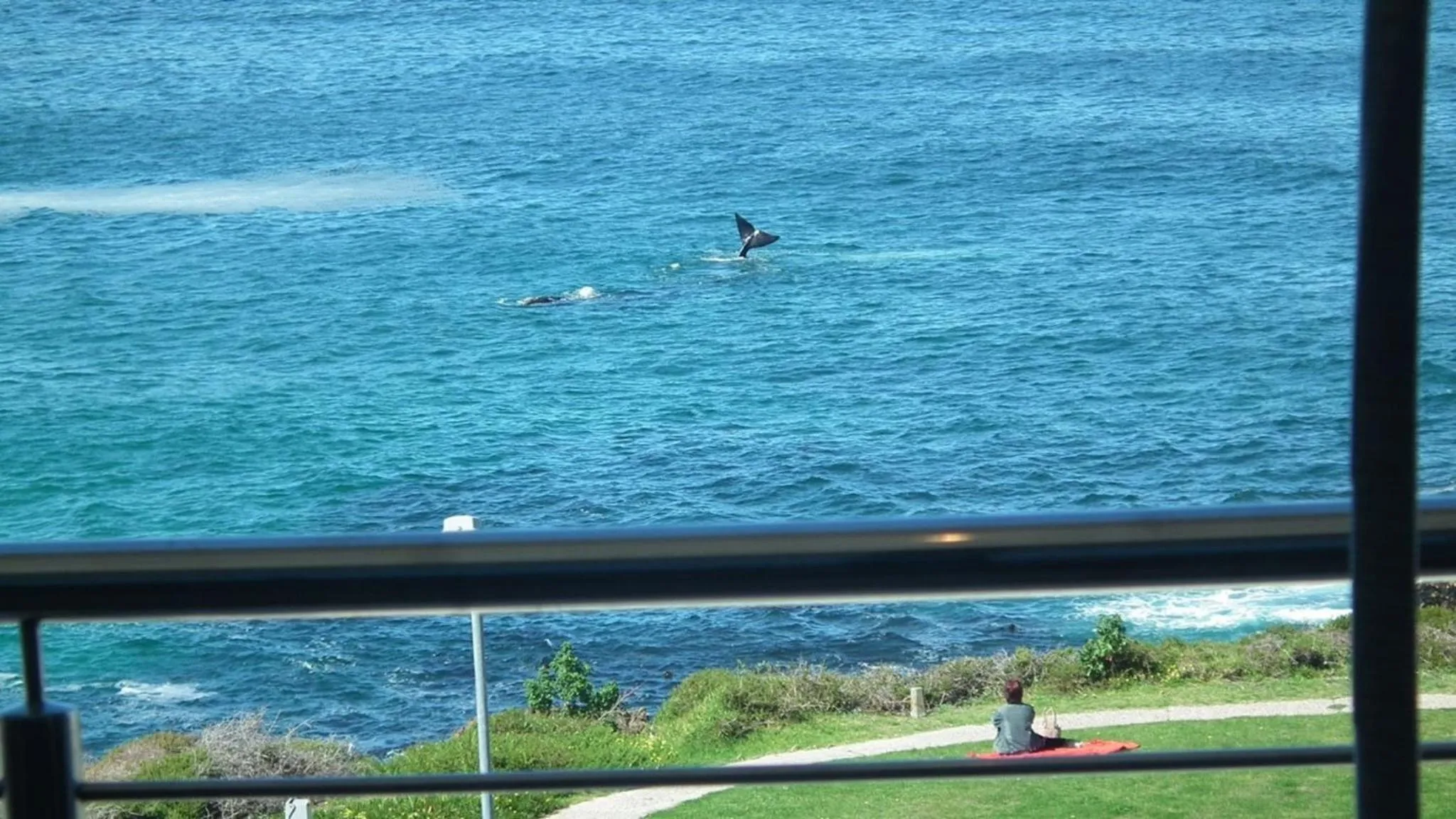 Vue sur la mer avec des personnes pratiquant des activités nautiques.