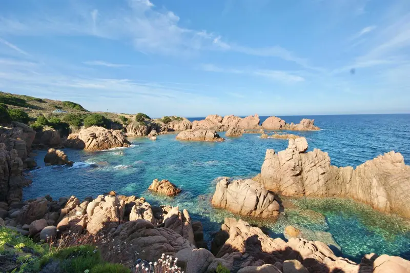 Côte rocheuse avec végétation et eau turquoise sous un ciel bleu.