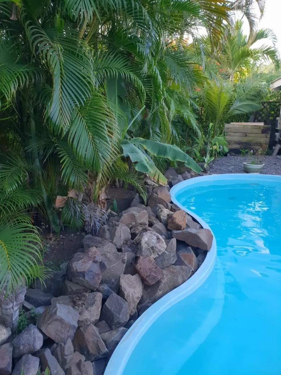 Une piscine hors sol bordée de roches et entourée de végétation tropicale.