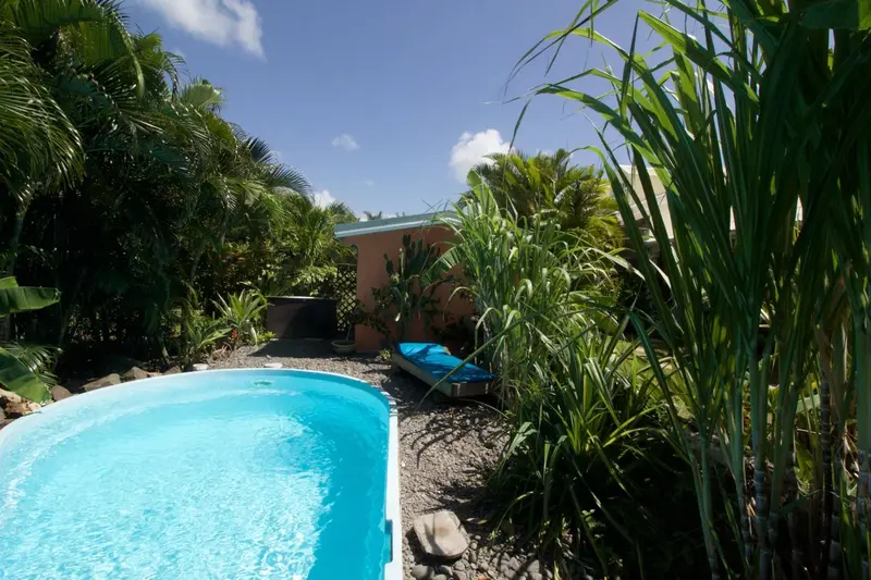 Petite piscine turquoise entourée d'une végétation luxuriante et d'une maison colorée.