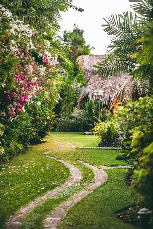 Chemin sinueux dans un jardin tropical luxuriant.