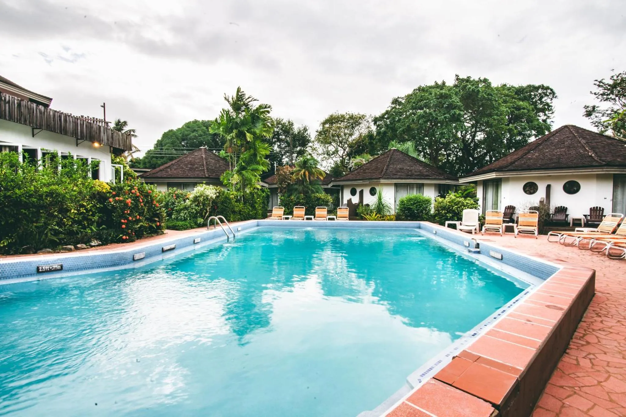 Une piscine rectangulaire bordée de chaises longues et de végétation tropicale.