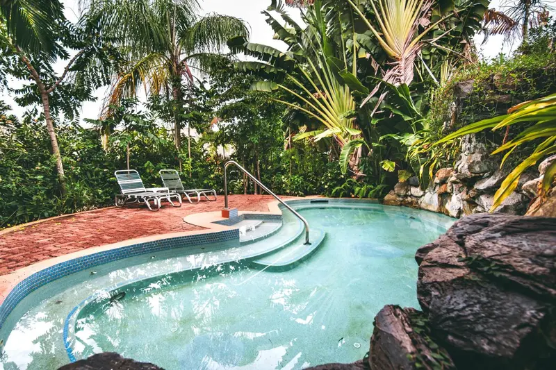 Une piscine turquoise entourée de végétation luxuriante et de rochers.