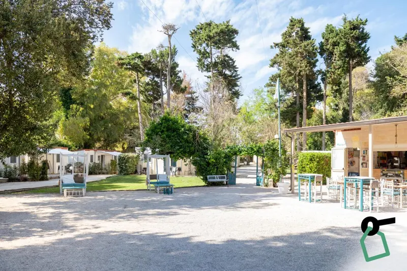 Espace extérieur aménagé avec des transats et des tables de pique-nique.