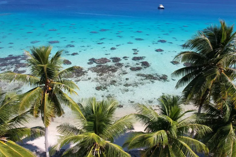Vue aérienne d'une plage de sable blanc bordée de palmiers et d'une eau turquoise peu profonde.